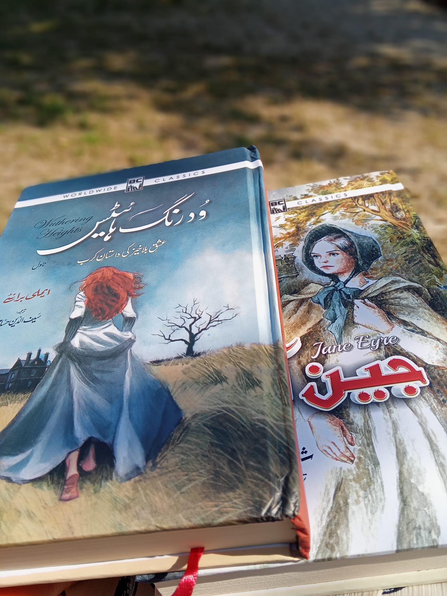 شارلٹ برونٹے کا ناول ” جین آئر” جس پر اب تک تقریباً دس فلمیں بن چکی ہیں، ایک فکش…