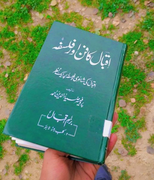 فلسفہ خودی
خودی ایک وسیع المعانی لفظ ہے ،جو کلام اقبال میں جابجا استعمال ہوا ہے…