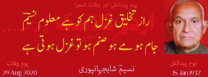 سر محشر اگر پرسش ہوئی مجھ سے تو کہہ دوں گا 
سراپا …